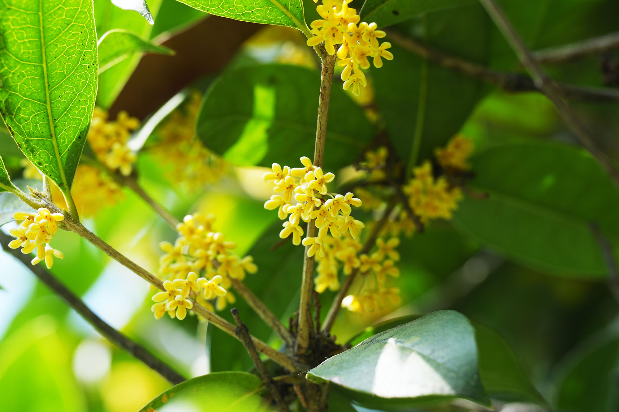 南宫NG28相信品牌的实力网址(中国)官网